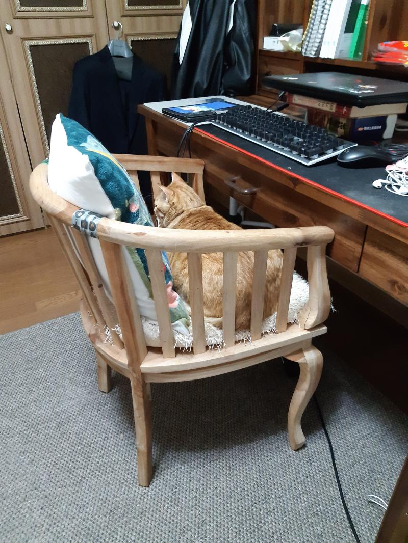 내 자리에서 비켜주세요...
