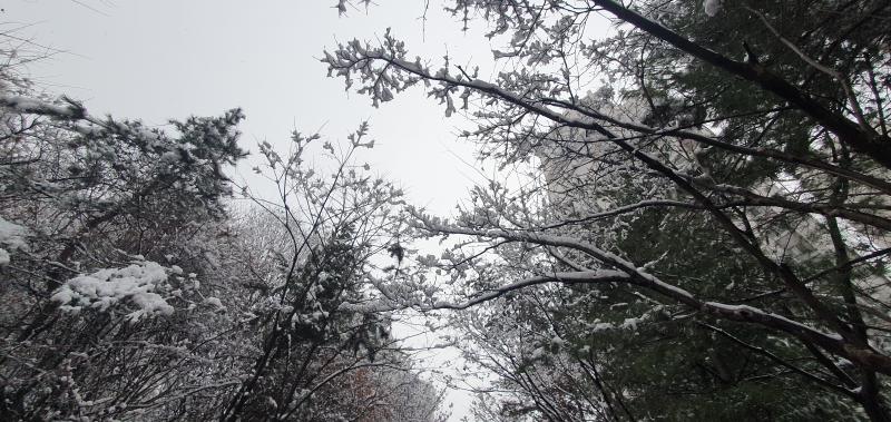 와 아침에 일어나서 창문 봤을 때도 놀랐는데 나와보니까 진짜 세상이 구라처럼 하얘졌다 어떻게 하루아침에 뽀로로나라가 된거지?