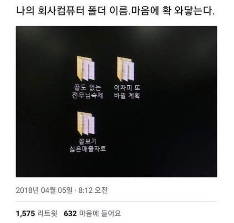 사소한 짤