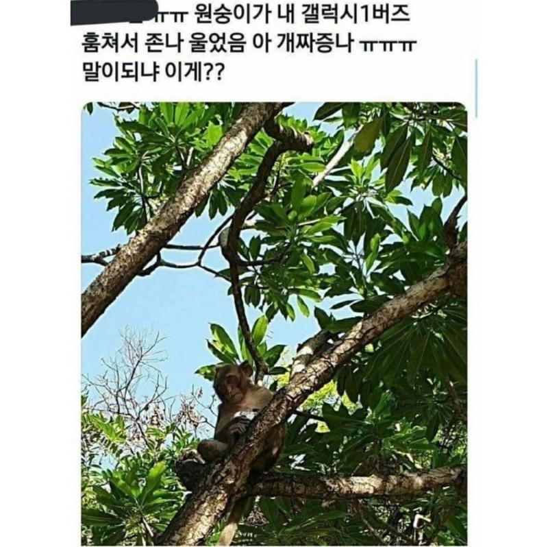 뭐야 돌려줘요