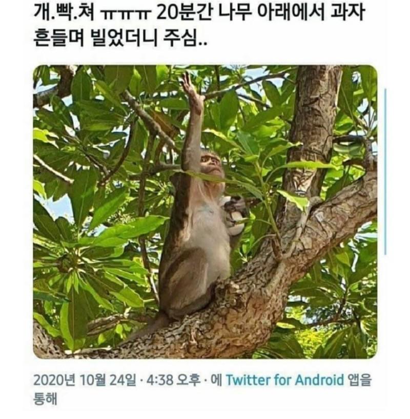 뭐야 돌려줘요