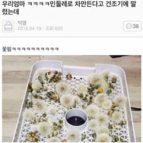 건조기에서 핀 희망