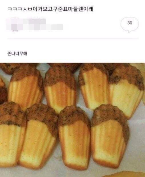 사소한 짤 2
