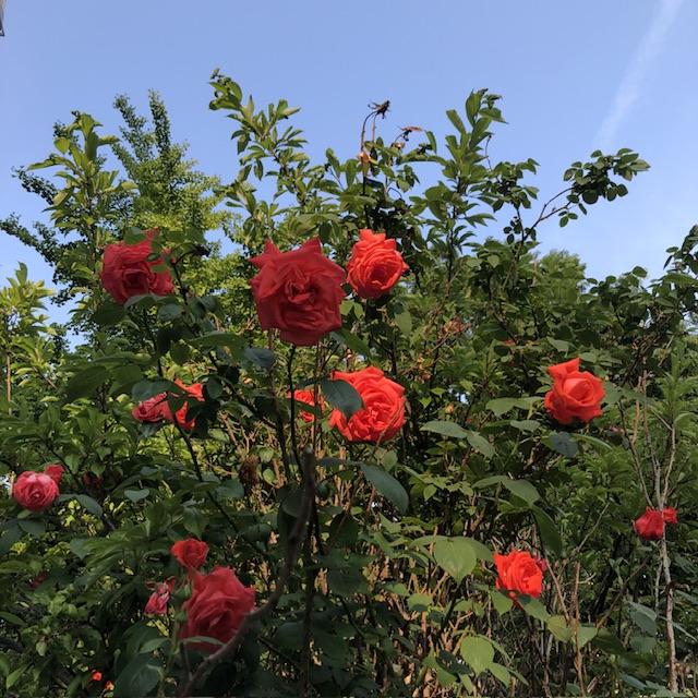 이건 어떠려나