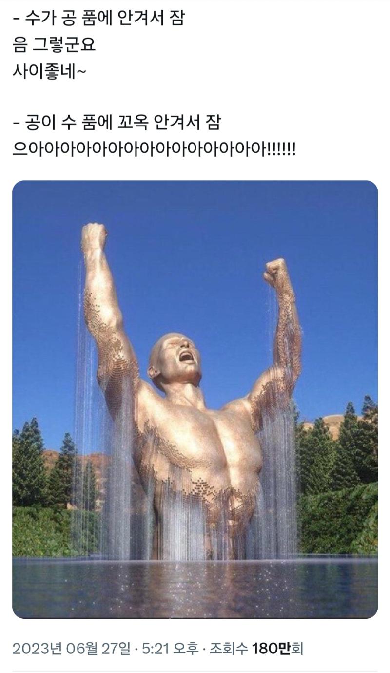 공이 수한테 안기는거? 좋음 근데 꼭 얘네처럼 반대랑 비교하면서 전자는 노꼴 취급하면서 이렇게 개유난떠니까 좆같은거지