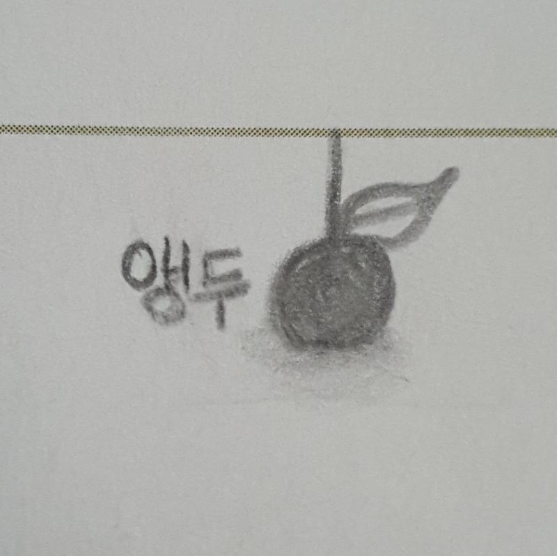 앵두