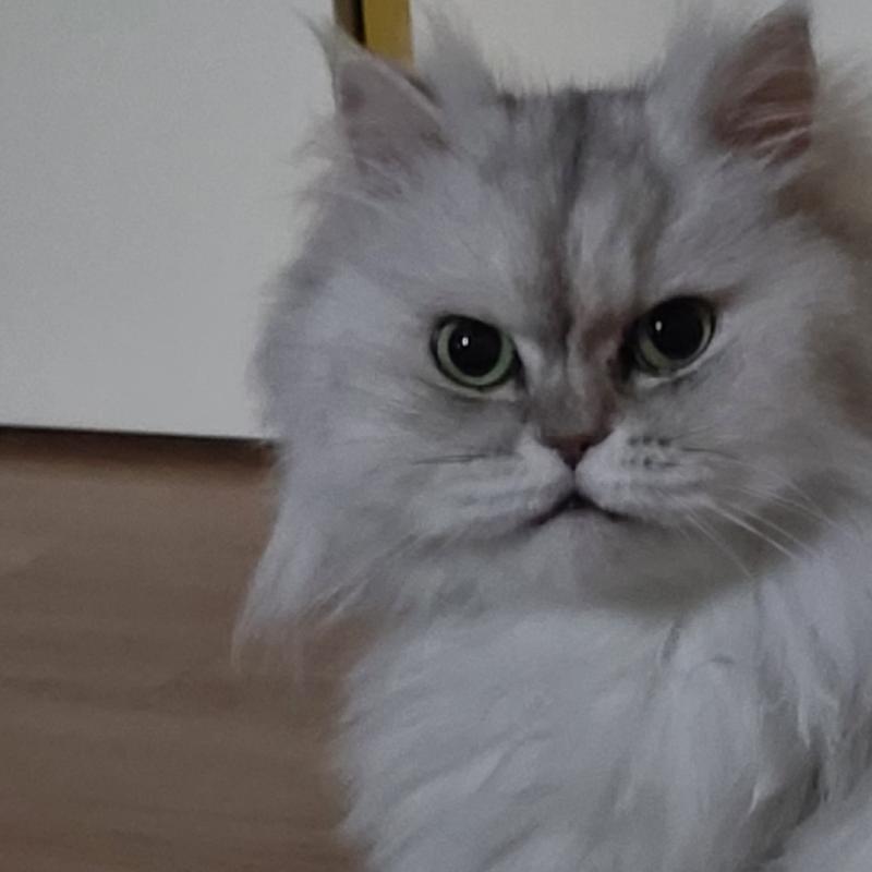 올해 대학 들어가는데 공부 잘 할 수 있을지, 좋은 사람들 만날 수 있을지 봐줄 수 있을까..? 그리고 새로운 분야에 도전해보고 싶은데 그쪽 분