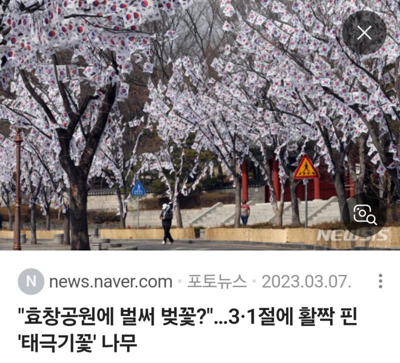 이건 작년 사진인데 너무너무 예뻤듬..