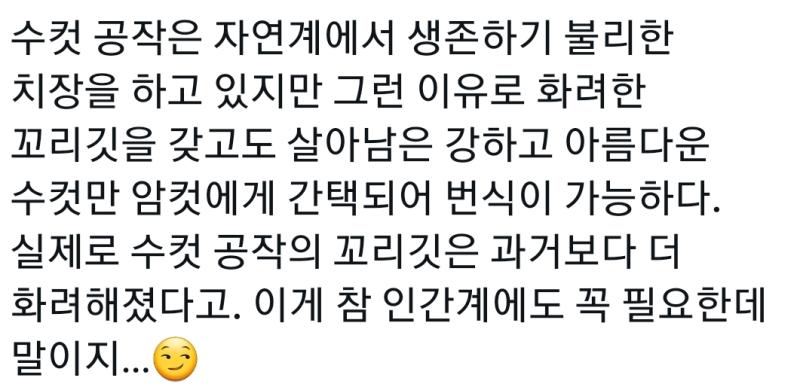 반대로 비유하면 발작 할꺼면서 그놈에 성별 나누기 여기가 진짜 찐인거 같음 인간계부터 ㅋㅋㅋㅋㅋㅋㅋㅋㅋㅋㅋ 만나오네 끼리끼리 모르나고 꾸민 사람