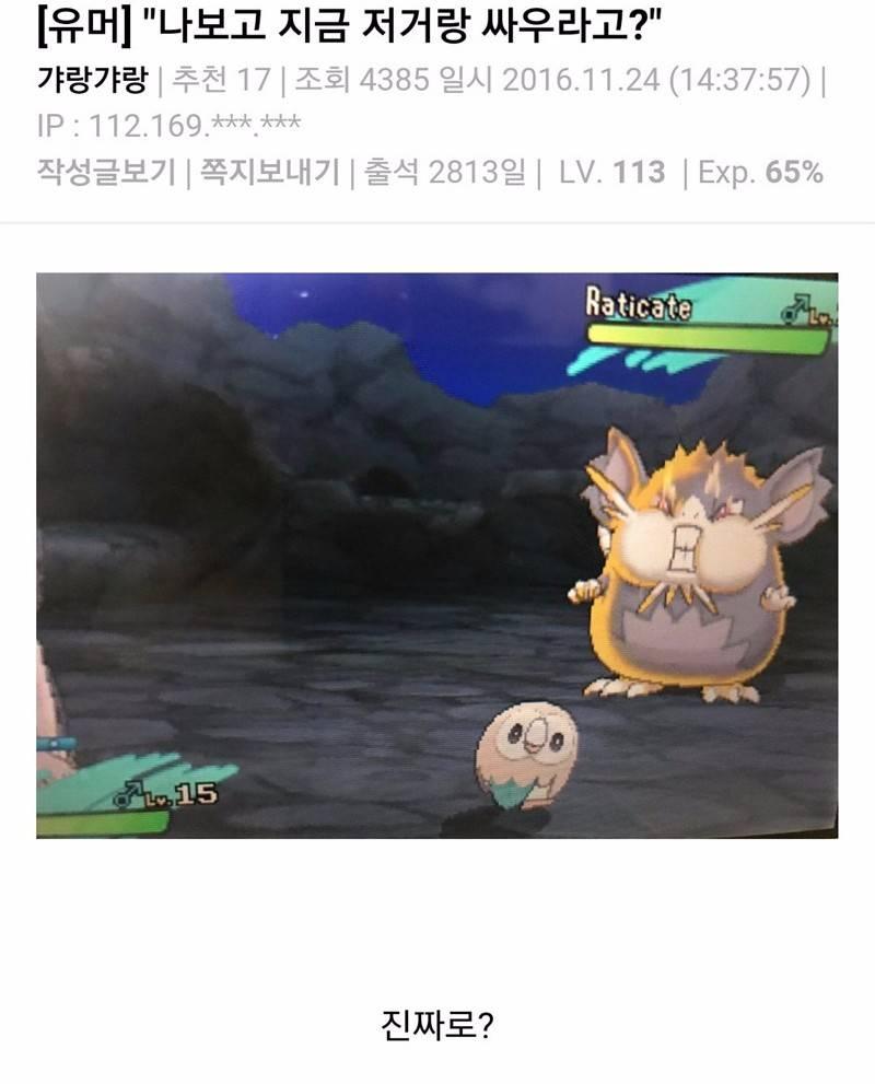 진짜 싸워요?