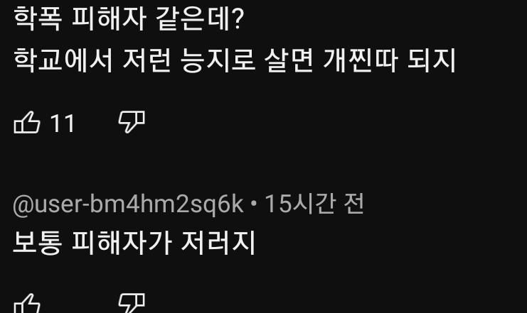 빌런이 지랄하는 영상에 과거에 학교폭력 피해자 였나 2차가해 개오진다 학교폭력 피해자 한테 능지 ㅇㅈㄹ 저딴글에 11추천 달린것봐도 한국 유툽