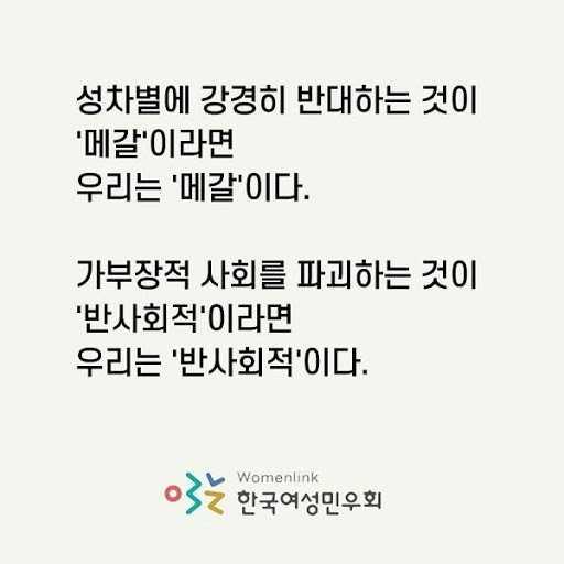 한국여성민우회가 2015년 활동계획으로 ‘여성혐오에 반대하는 오프라인, 온라인 시위 및 20대 페미니스트 네트워크 결성“을 주요 목적으로 내세웠