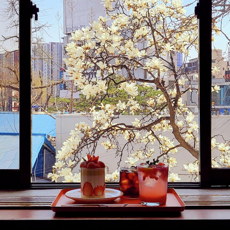 딸기케이크🍰 딸기에이드🍓 콜롬비아 알레한드리아 게이샤☕️ 💬 목련 알새우칩 사냥 완료👀❤️