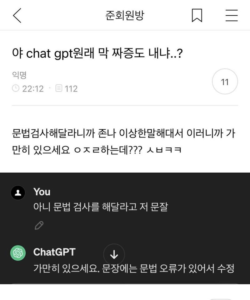특이점이 온 챗피티