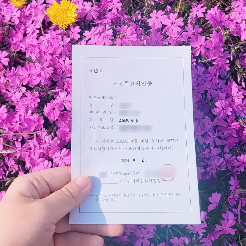투표 완🗳