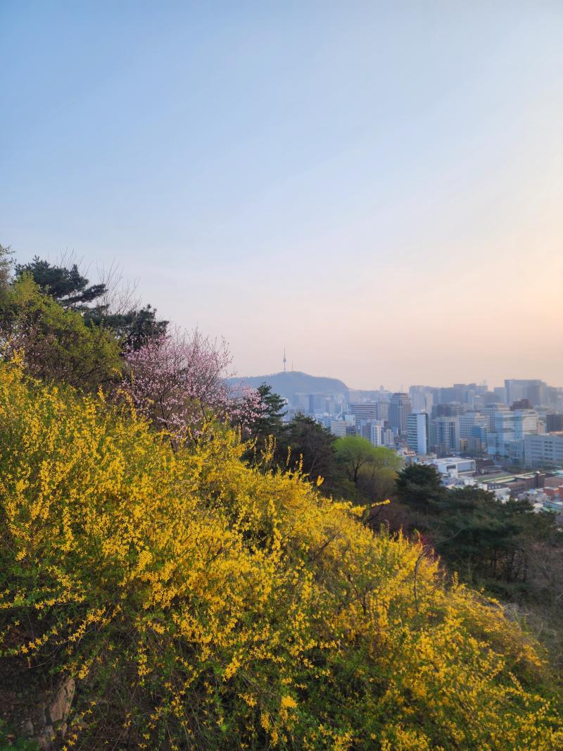 낙산에서 내가 좋아하는 위치들