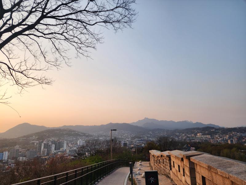 꽃 그리고 전경 가로버전이랑 세로버전. 나중에 인스타에는 사진 방향에 맞춰 골라서 올려야지