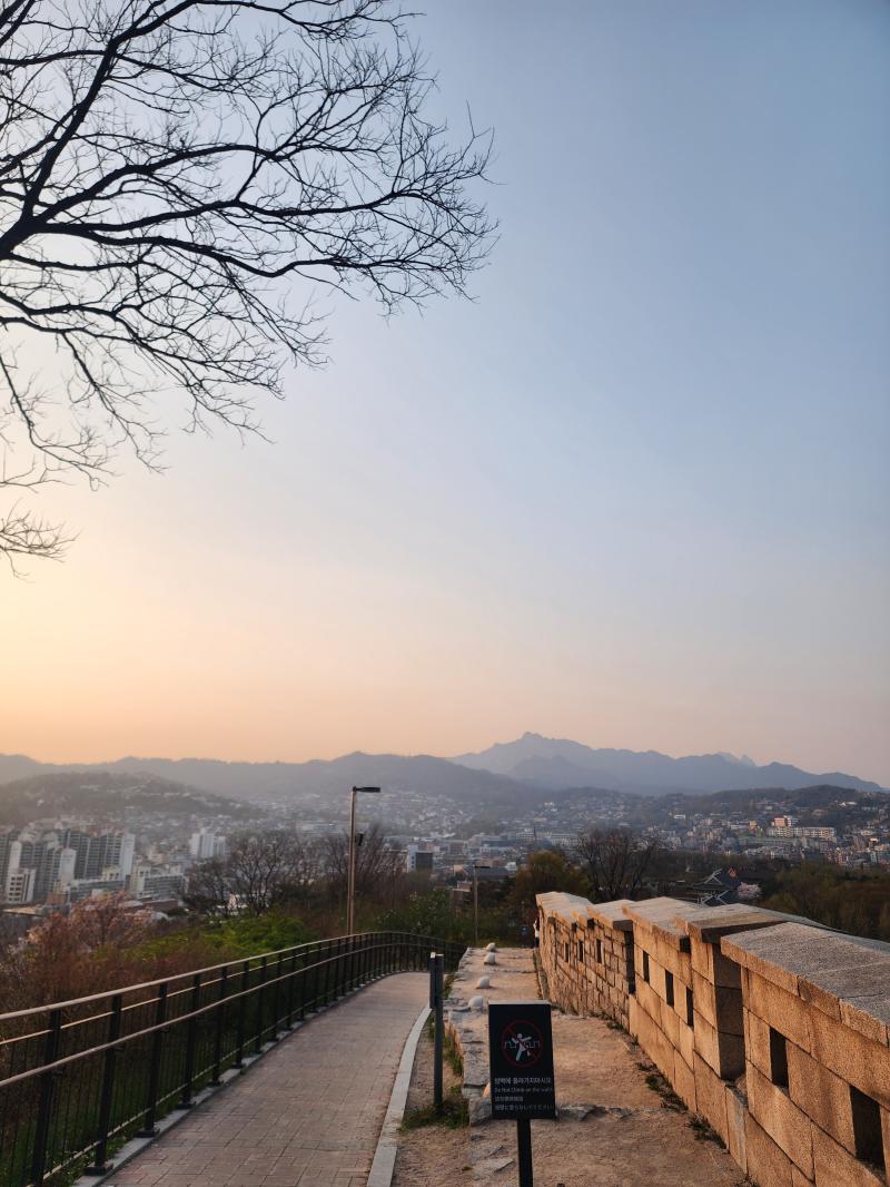 꽃 그리고 전경 가로버전이랑 세로버전. 나중에 인스타에는 사진 방향에 맞춰 골라서 올려야지