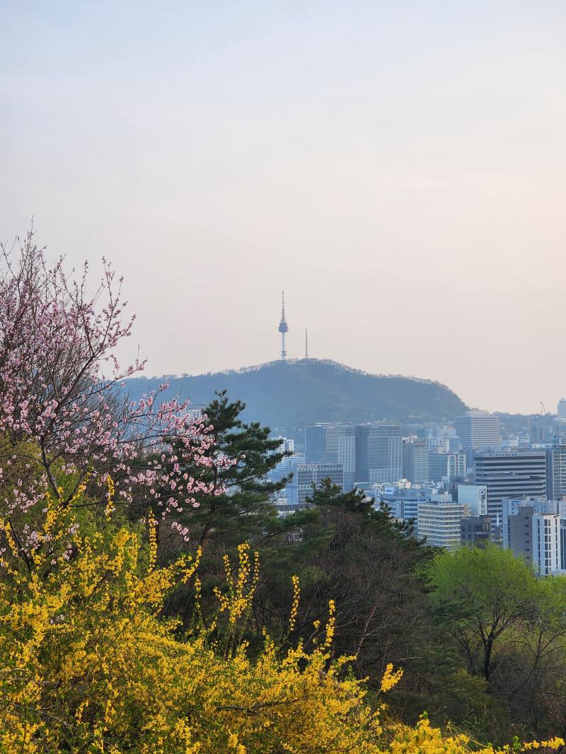 낙산에서 내가 좋아하는 위치들