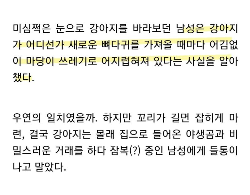 강아지의 비밀스러운 거래