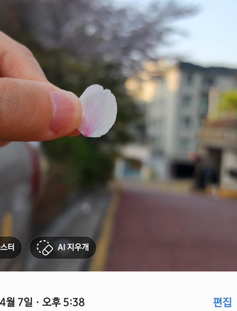 >>40 헉 나는 5시 반에 데니안님 퇴근길 슬쩍 보고 벚꽃 흩날리던 거 품 안으로 들어온 거 잡았는데! 6시에 >>5 사진 가로세로버전 찍었었