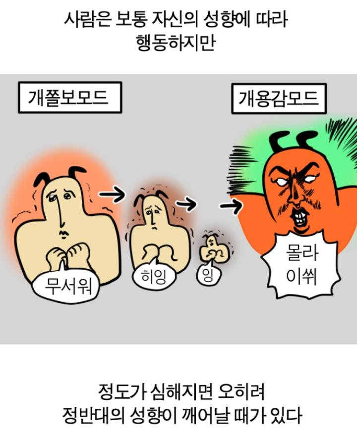 아 짜증난다... 너무 자괴감들고 스트레스 쌓이니까 갑자기 반발심들어 내가 처음부터 이쪽 업무 원한 것도 아니었고 관두고 싶다고도 했잖아요??