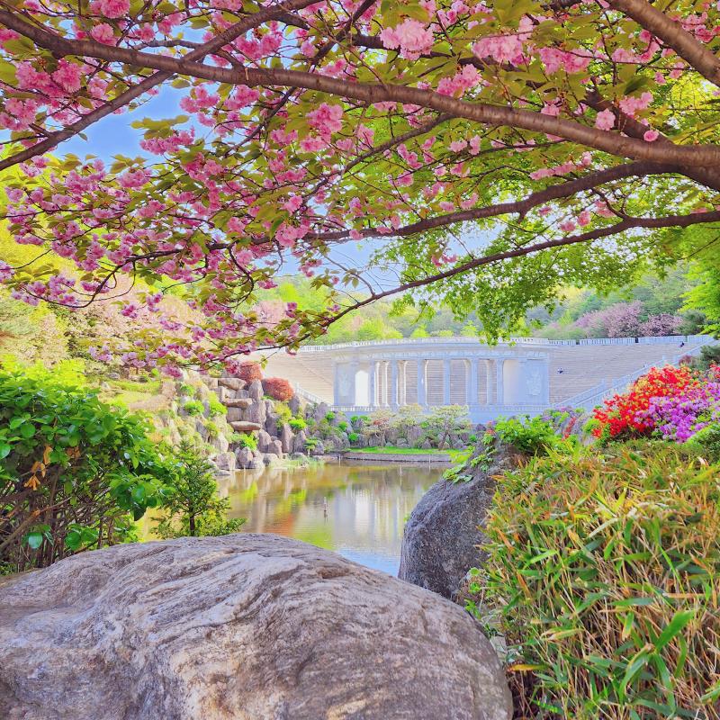 오늘은 겹벚꽃 보구와따🌸🩷