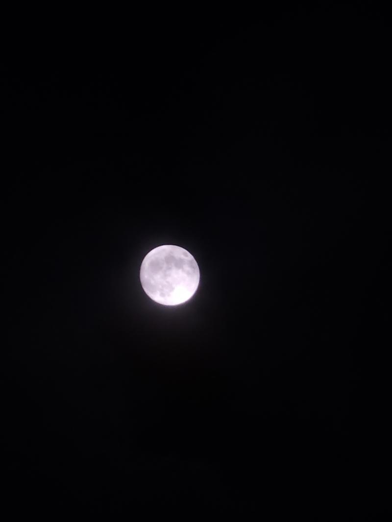 그래도 집 들어오기 전에 달 봤다. 구름에 완전히 가려져있다가 어느 정도 걷혀졌을 때 타이밍 좋게 찍었어.