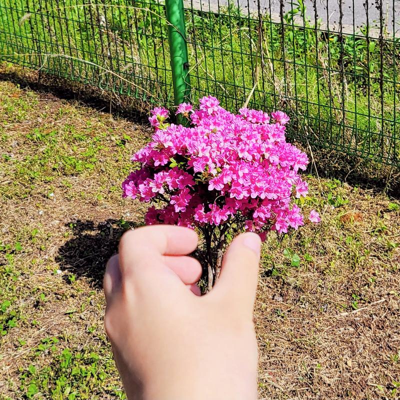 꽃다발💐