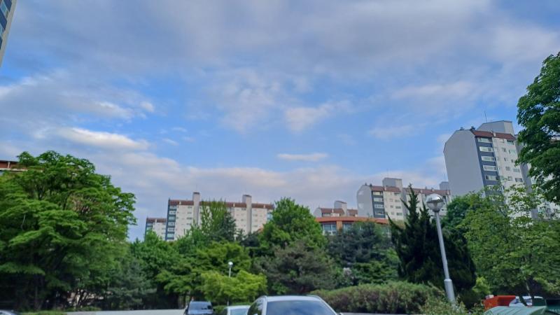 🌱 이건 몇일 전 사진! 월요일 이었던걸로 기억행 ㅎㅎ