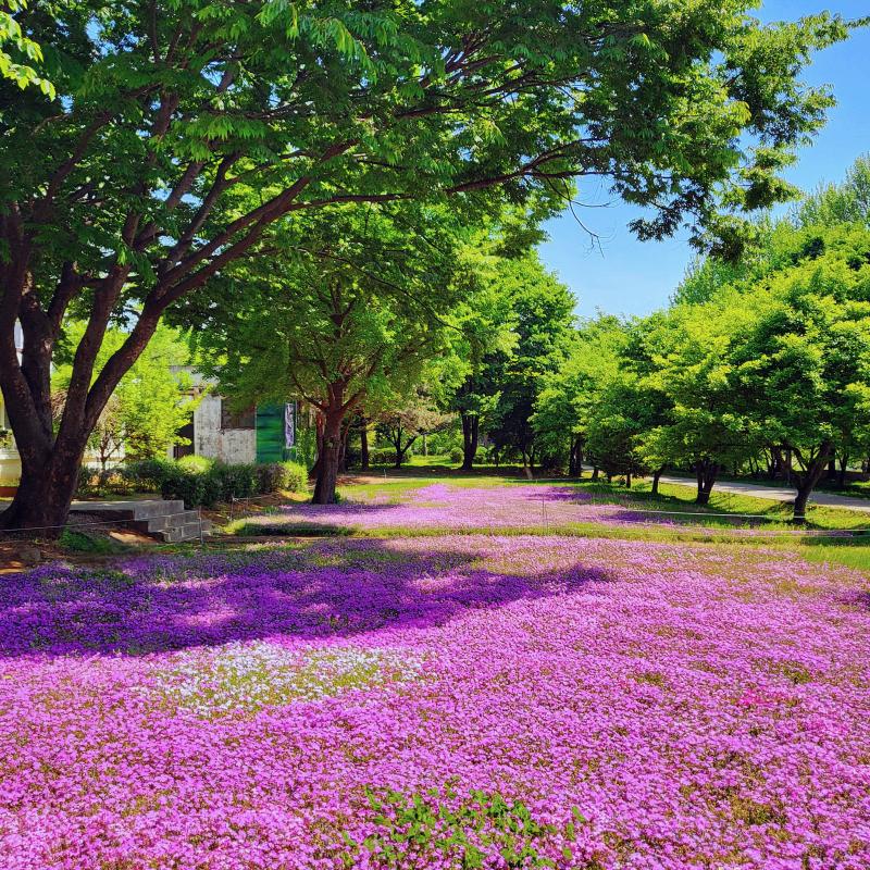 잘 보면 하트 이따💜