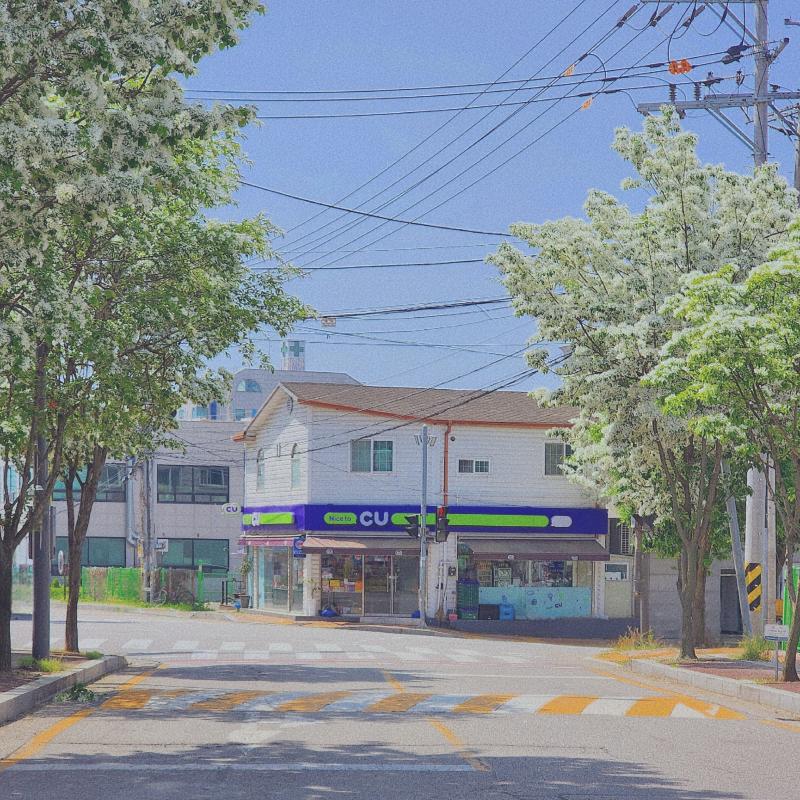 낼 비오기 전에 이팝나무 담아보기🤍작년에 이렇게 찍고 싶었는데 놓쳐서 올해엔 꼭 담아봄 뭔가 타이밍이 안 맞아서 3번의 시도 끝에 건진 사진