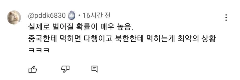 이딴 댓글들이 싫다고... 나까지 진짜 한국이 중국화되면 어쩌지 싶어져서 불안해짐