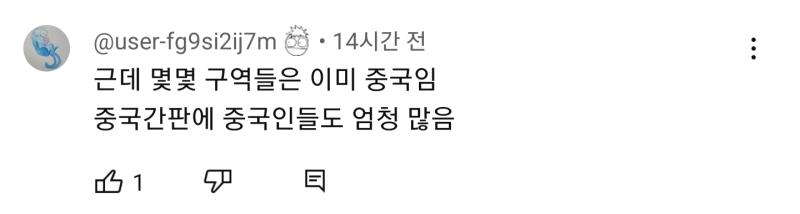 이딴 댓글들이 싫다고... 나까지 진짜 한국이 중국화되면 어쩌지 싶어져서 불안해짐