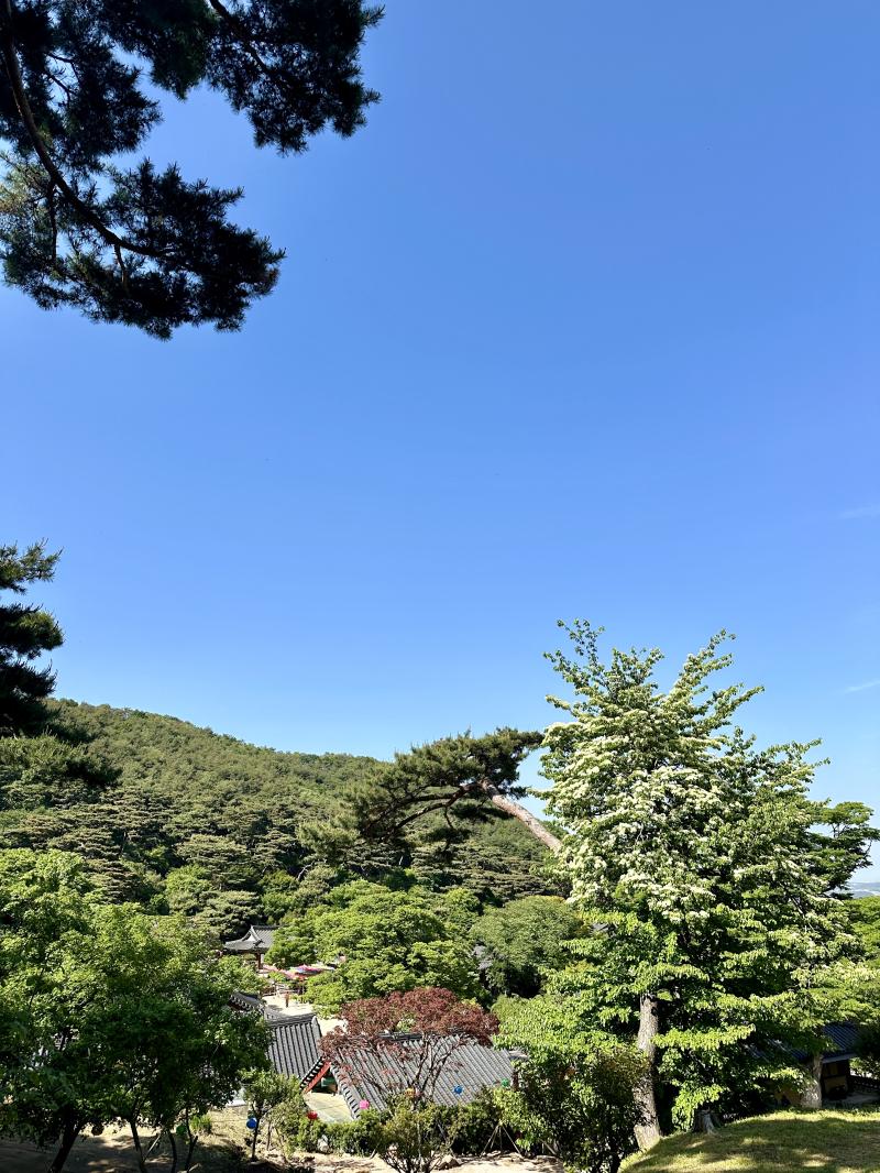 >>710 오 맞는거 같애!! 날씨가 너무 좋아 요즘 진짜 너무너무 좋운거 같애 휴무라서 강화도 전등사 다녀왔는데 꽃도 많고 나무도 많고 너무너