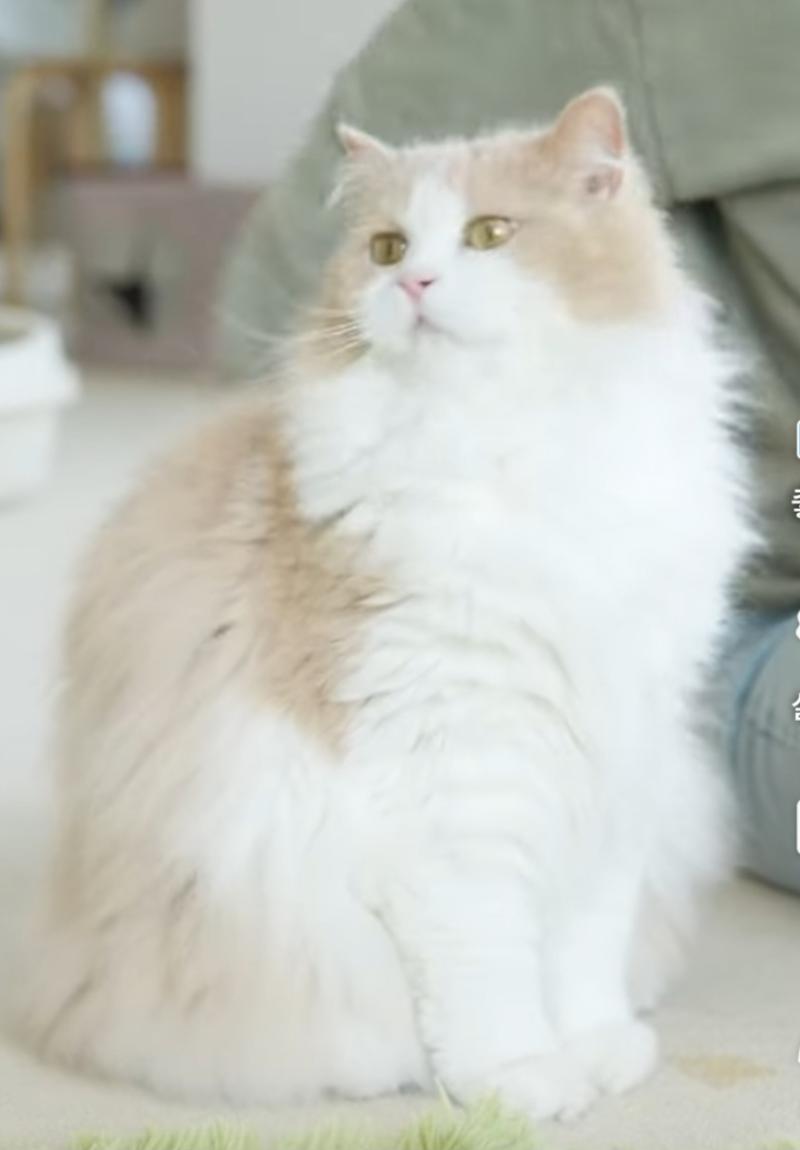 힐링짤