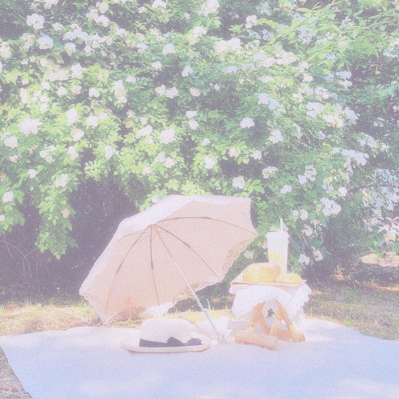 작년과 올해의 찔레꽃 피크닉👒