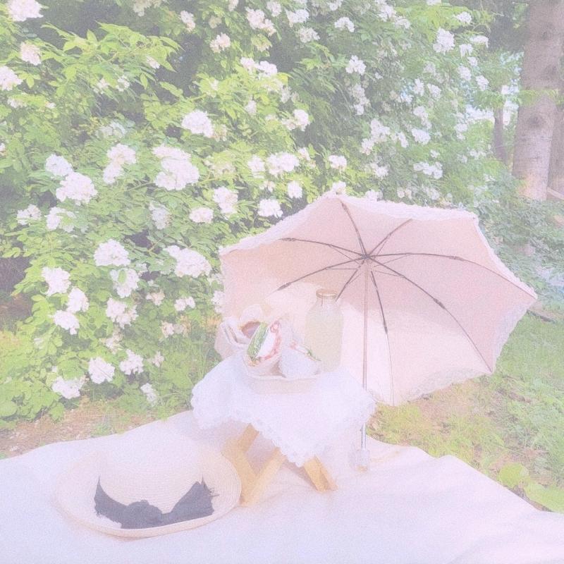 작년과 올해의 찔레꽃 피크닉👒