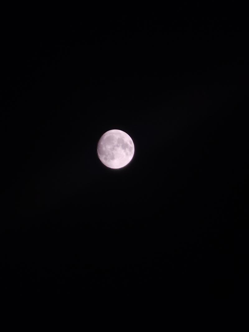오늘 달