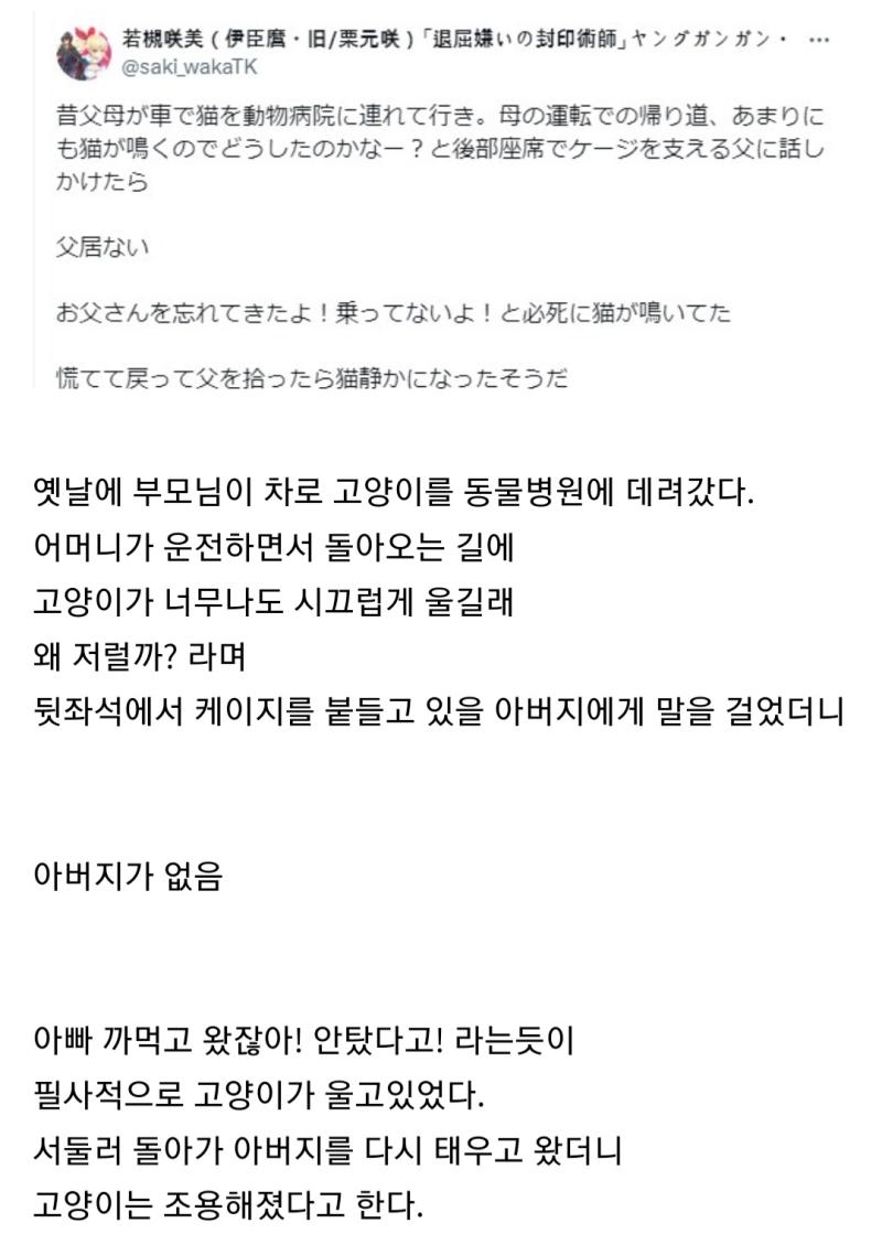 동물병원에 다녀온 후 고양이가 필사적으로 울었다