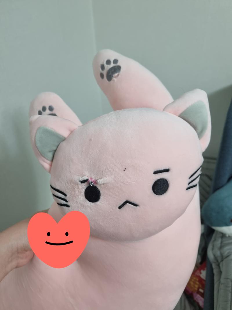 오늘 아침에 내 애착인형 강아지가 뜯어서 구멍났는데 남편이 바느질해줌 나 : 아 근데 꿈에서 얘가 왜 나 이렇게 만들었냐고 찾아올것같이 생김 남