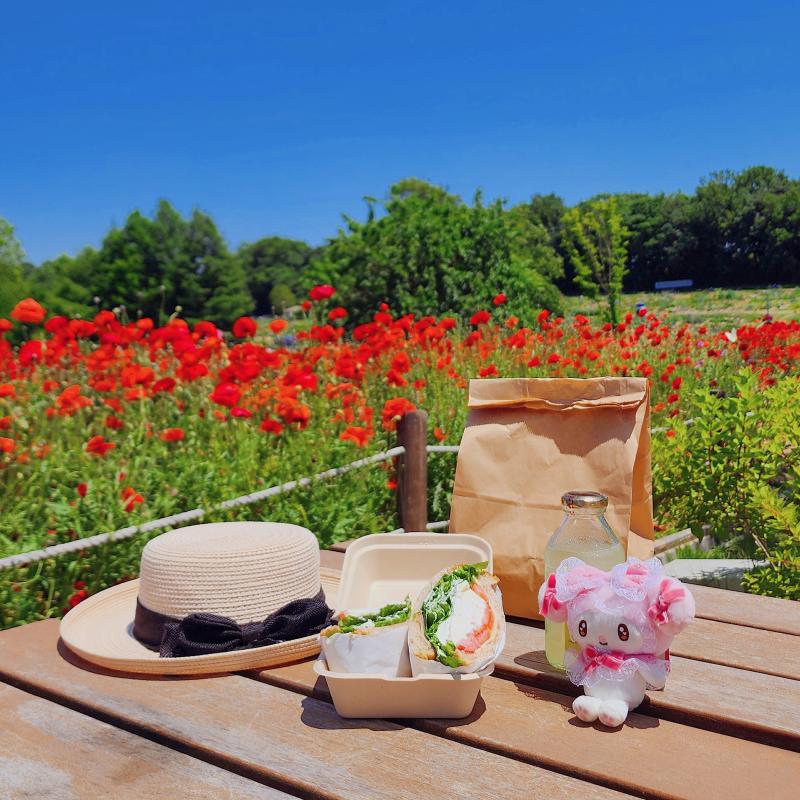 리코타치즈 샌드위치🥪 레몬 에이드🍋 💬 이번에는 양귀비밭 피크닉으로 마지막 봄 피크닉 장식👒🩷