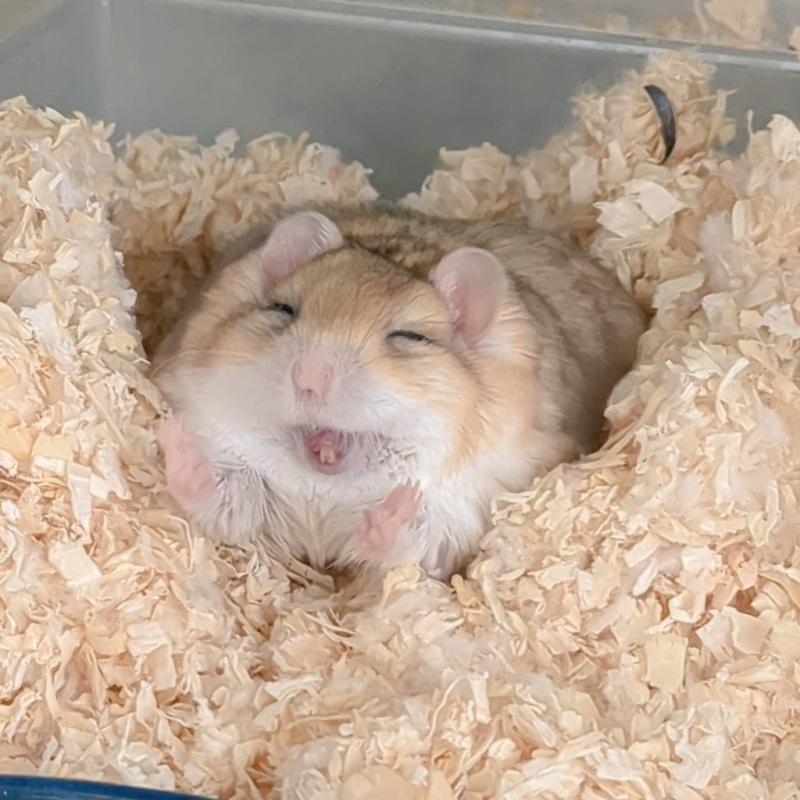헤헤