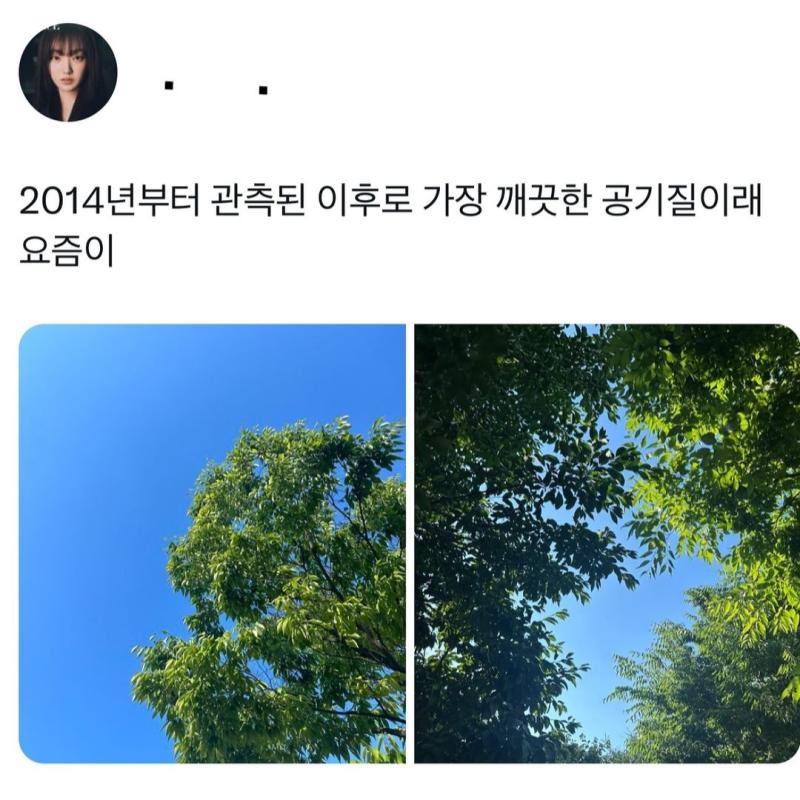 요며칠 하늘이 유독 깨끗하고 시퍼런 이유였군..근데 수요일부터 다시 안좋아지고 있는것 같음 뭐야 돌려줘요