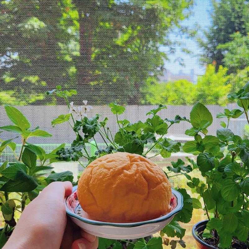모닝빵🍞 콤부차 베리🍹 💬 따뜻하게 데운 모닝빵과 시원한 콤부차 한 잔 그리고 마음을 채워줄 책 한 권 잠시 핸드폰 디톡스 하겠읍니다