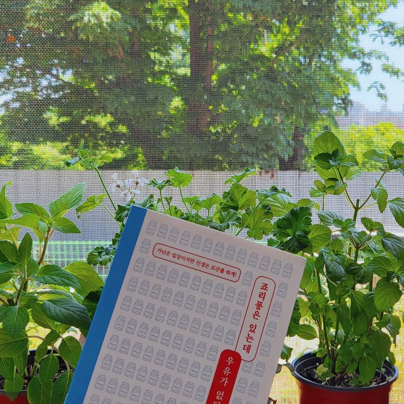 모닝빵🍞 콤부차 베리🍹 💬 따뜻하게 데운 모닝빵과 시원한 콤부차 한 잔 그리고 마음을 채워줄 책 한 권 잠시 핸드폰 디톡스 하겠읍니다