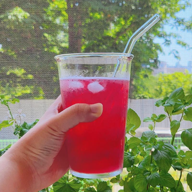 모닝빵🍞 콤부차 베리🍹 💬 따뜻하게 데운 모닝빵과 시원한 콤부차 한 잔 그리고 마음을 채워줄 책 한 권 잠시 핸드폰 디톡스 하겠읍니다