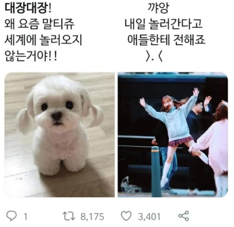 대장대장!