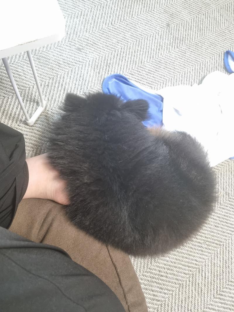 >>750 우리강아지 뒷통수 제법 커엽죠? >>751 내남편과 사귈당시가 9년전이라서 (장기연애함) 그땐 까짓거 한번 사귀죠 에 가까웠어 지금도