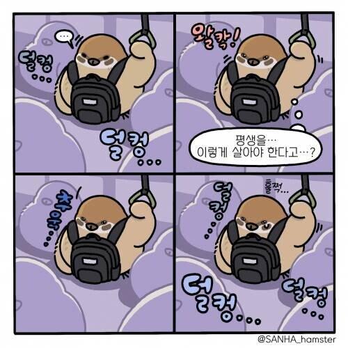 실제로 저렇게까지 슬프지는 않다 단지 늙어서 추억이랄게 없다는건 좀 우울할지도